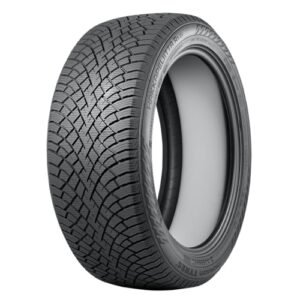Best Winter Tires For Ev